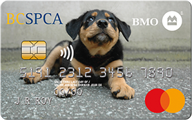 Bmo Spca No Fee Cashback Mastercard Bmo