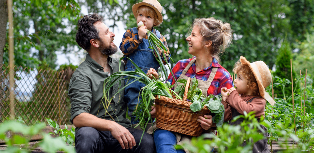 A family gardens in the backyard of their home